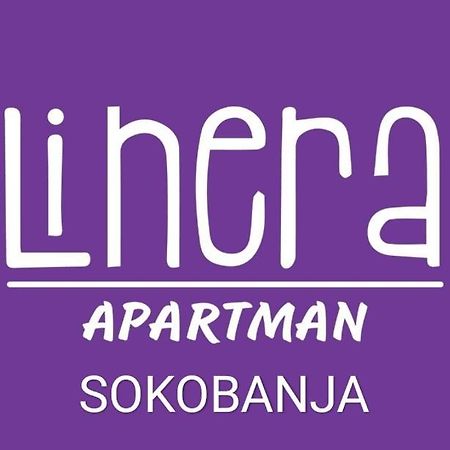 Apartman Linera Soko Banja Esterno foto