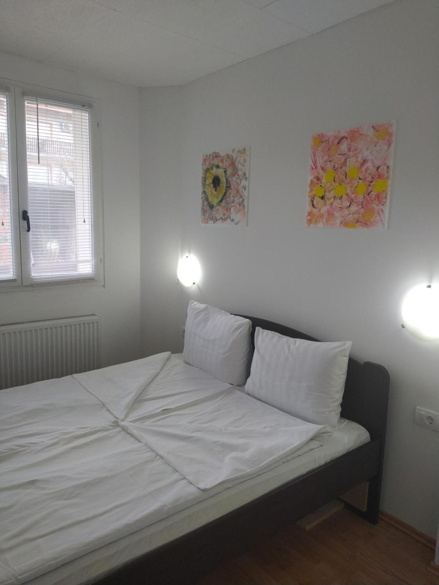 Apartman Linera Soko Banja Camera foto
