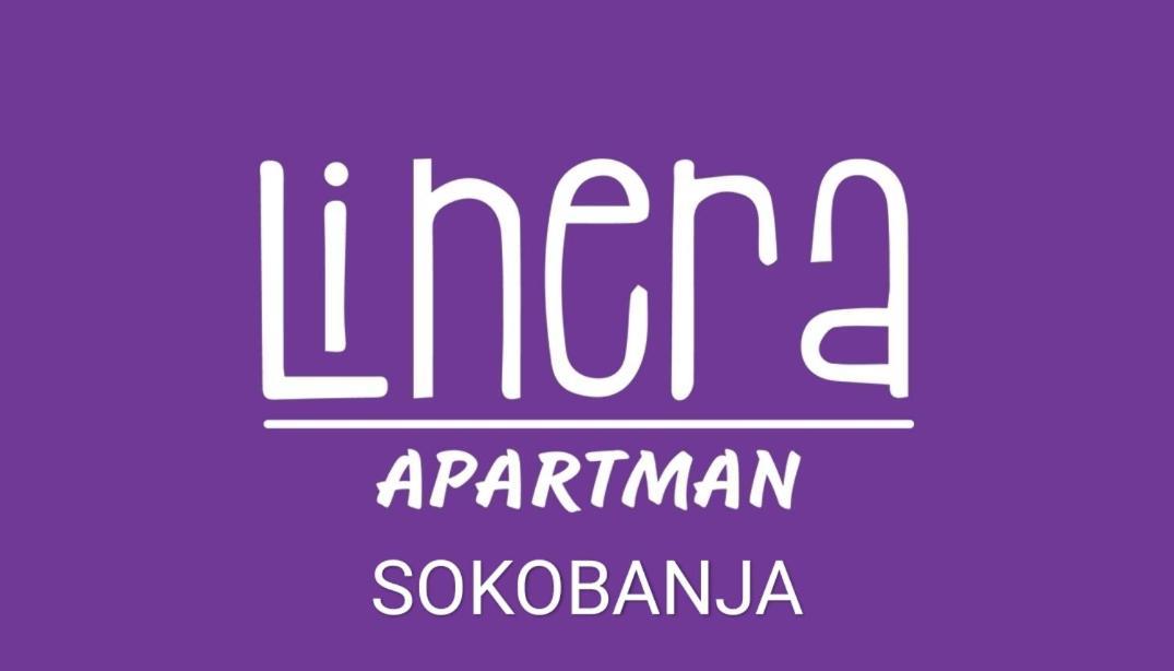 Apartman Linera Soko Banja Esterno foto