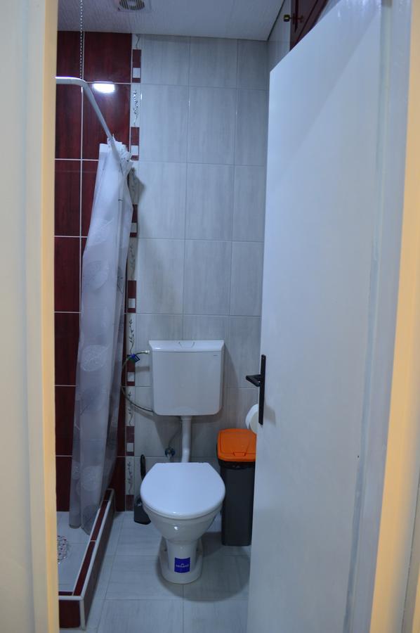Apartman Linera Soko Banja Esterno foto