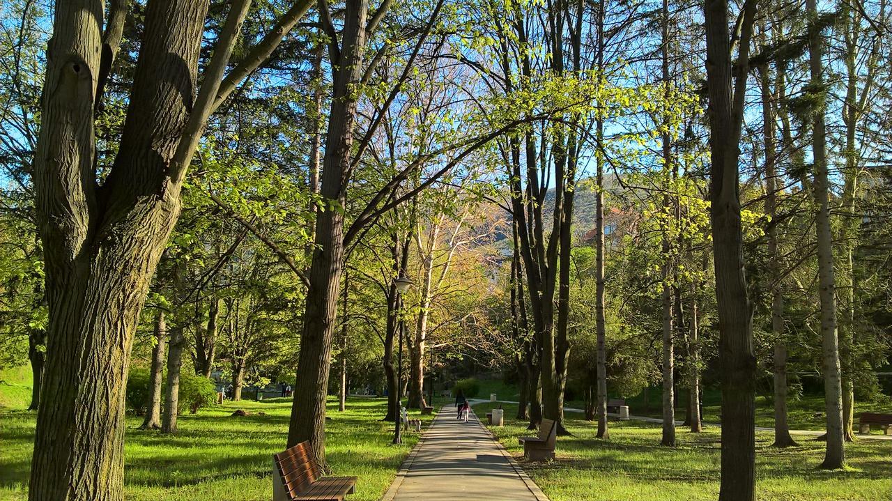 Apartman Linera Soko Banja Esterno foto